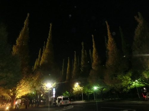 a0319693_2311246.jpg