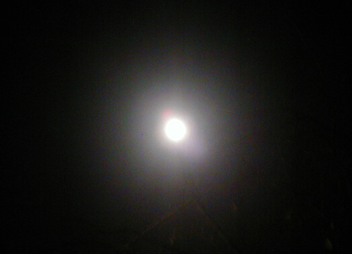 d0053294_222965.jpg