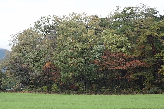 e0209997_1143226.jpg