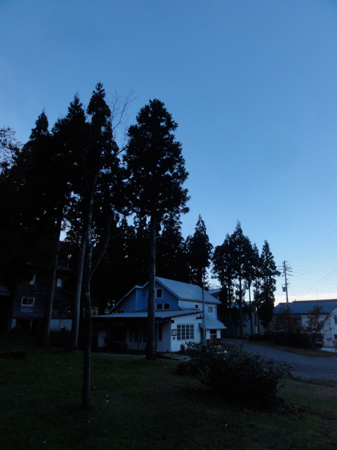 a0061599_7454799.jpg
