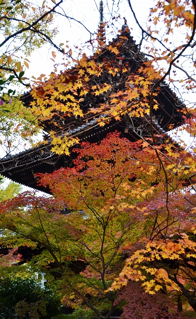 a0169902_0192950.jpg