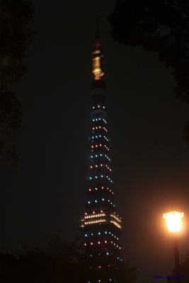 e0205502_233255.jpg