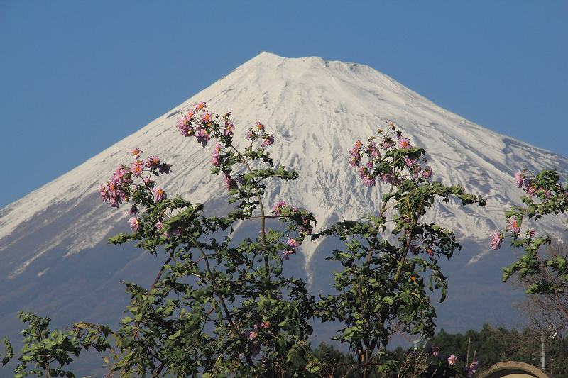 a0188405_19472750.jpg