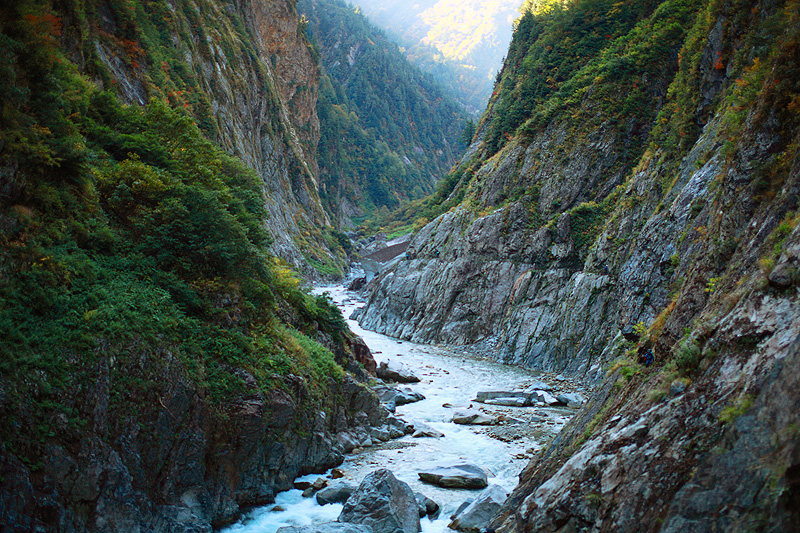 a0148606_17005718.jpg