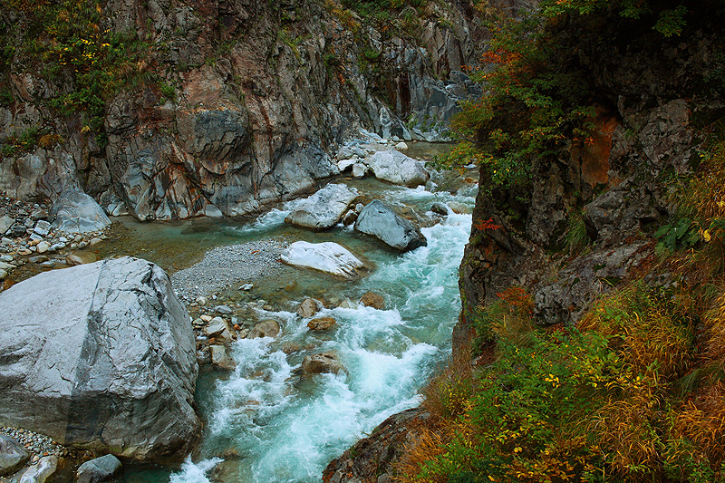 a0148606_17013503.jpg