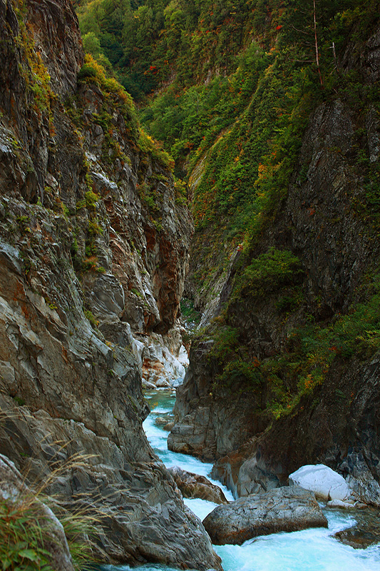 a0148606_17013620.jpg