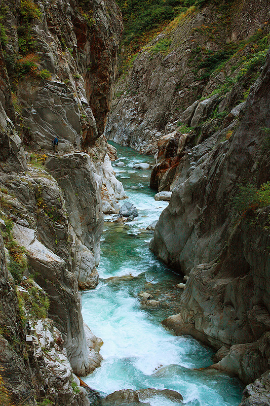 a0148606_17020657.jpg