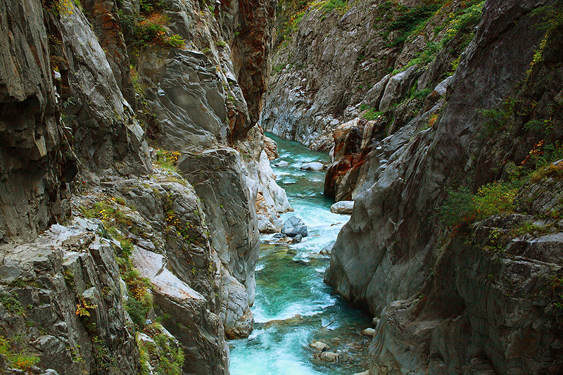a0148606_17020687.jpg