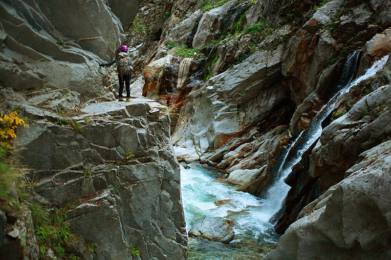 a0148606_17020708.jpg