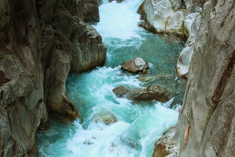 a0148606_17020796.jpg