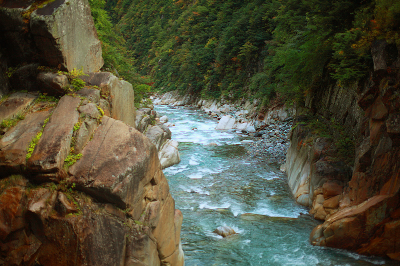 a0148606_17022907.jpg