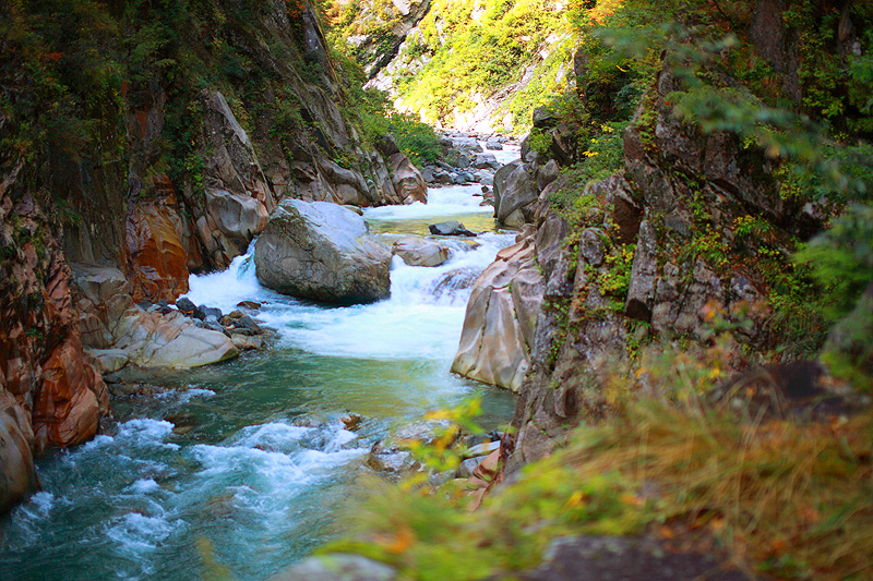 a0148606_17022961.jpg
