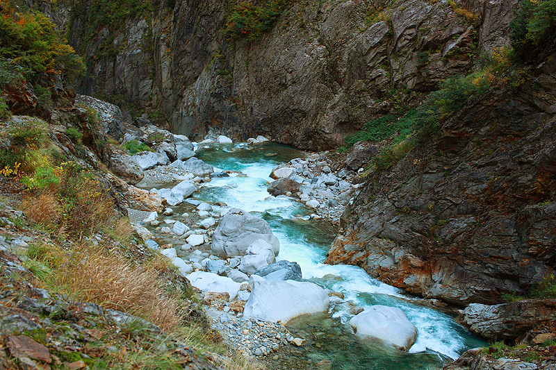 a0148606_17553107.jpg