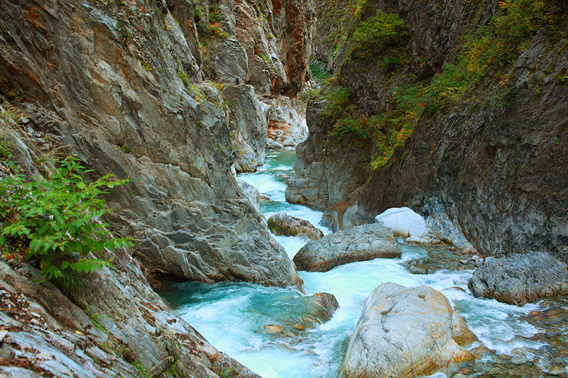 a0148606_17573624.jpg