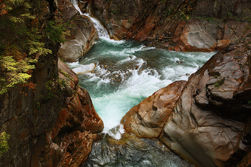 a0148606_18432209.jpg