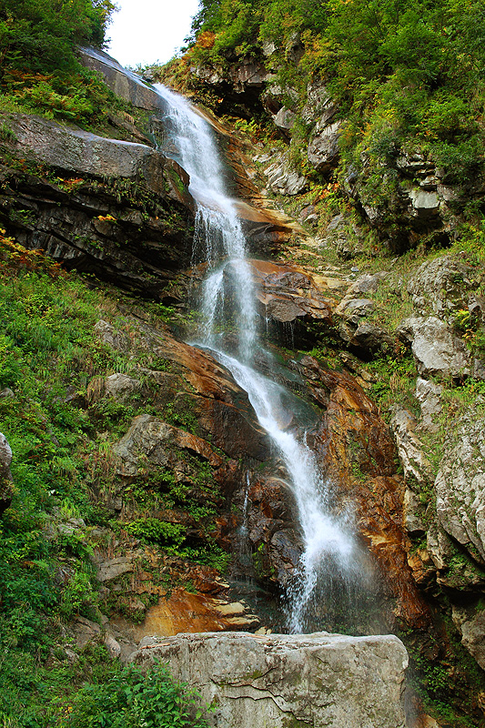 a0148606_22475951.jpg