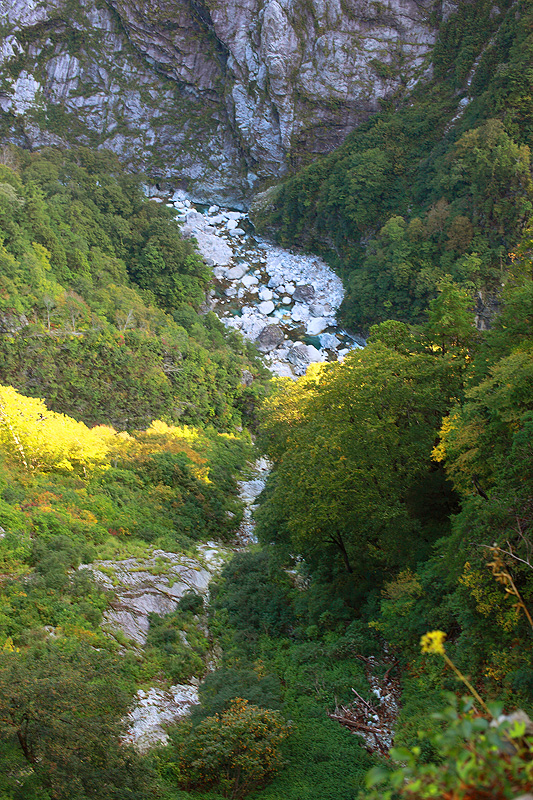 a0148606_22542225.jpg