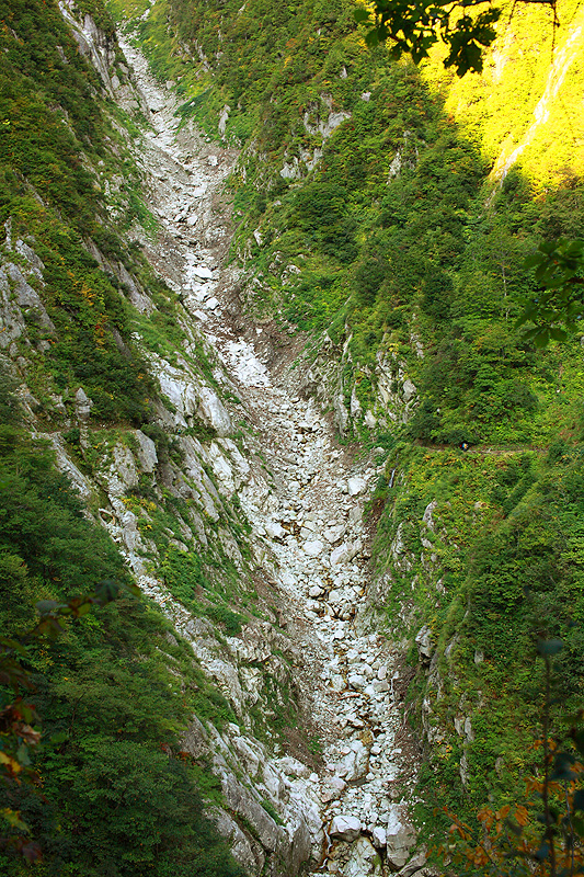 a0148606_22544393.jpg