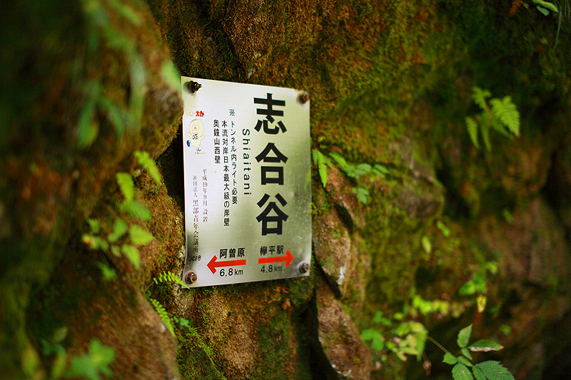 a0148606_22552899.jpg