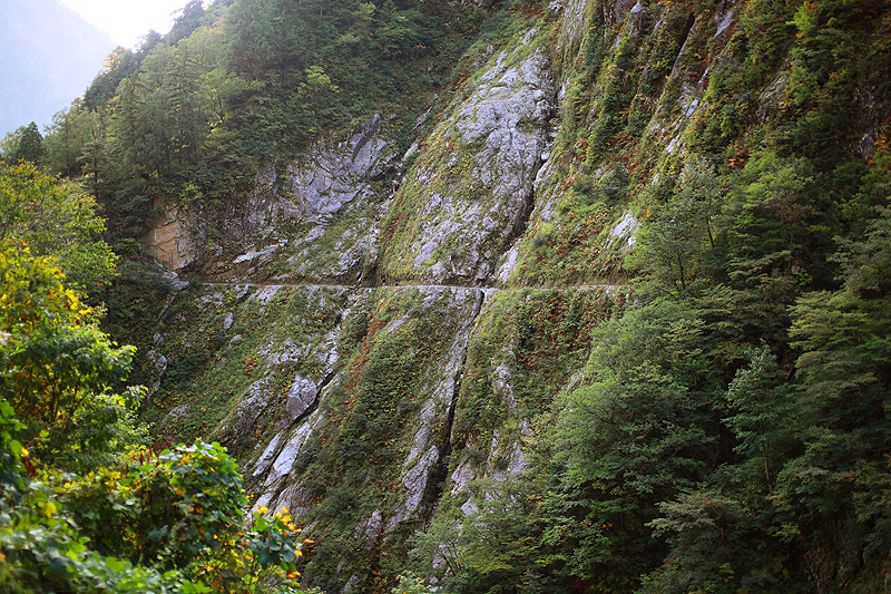 a0148606_22564476.jpg