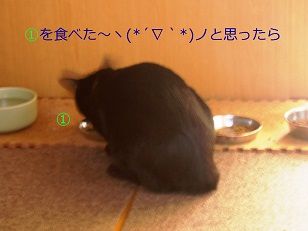 b0200310_1848521.jpg