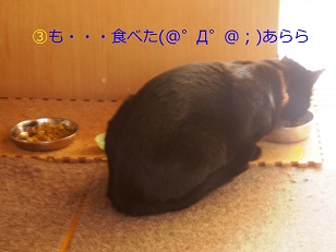 b0200310_18493190.jpg