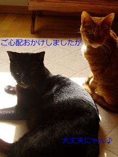 b0200310_18545891.jpg