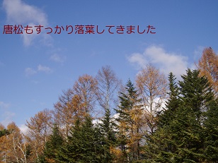 b0200310_1864487.jpg
