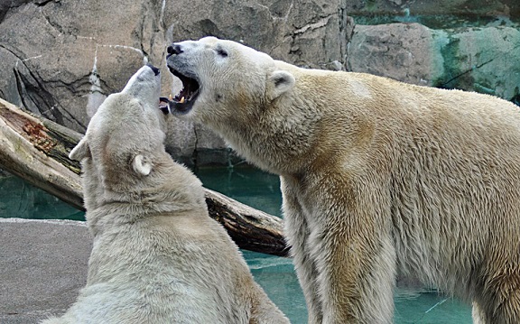 a0151913_2113125.jpg