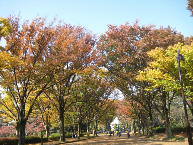 e0170519_152911.jpg