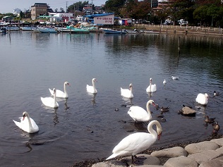 a0053420_16451741.jpg