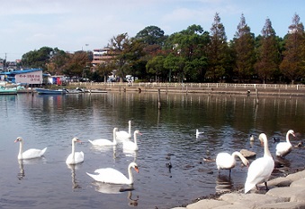a0053420_1646796.jpg