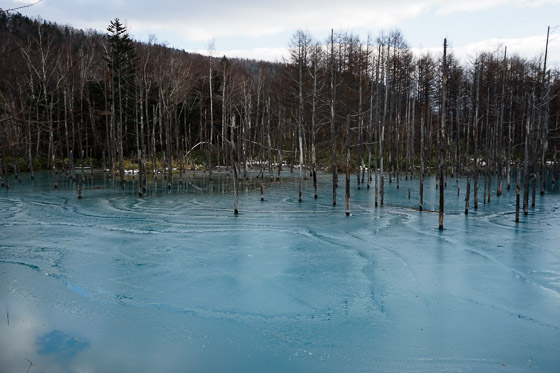 e0025030_915437.jpg