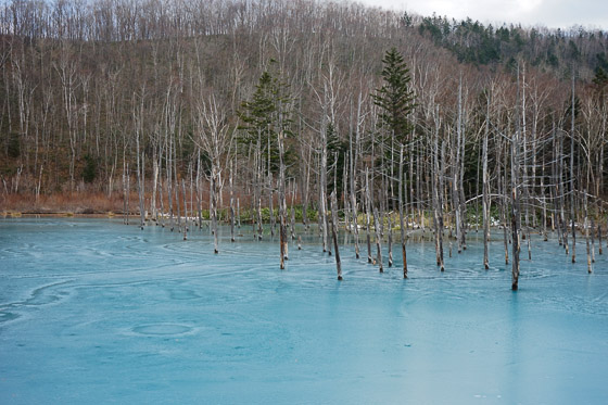 e0025030_91576.jpg