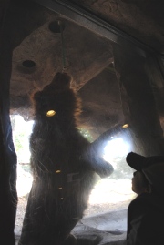 e0127935_044258.jpg