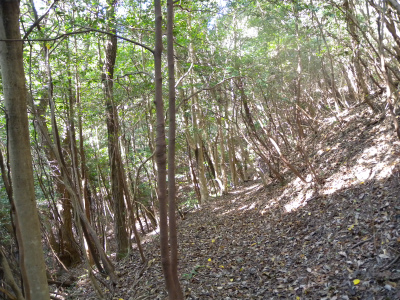 e0272335_19145269.jpg
