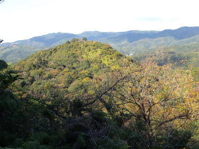 e0272335_19164812.jpg