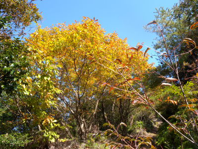 e0272335_19335719.jpg