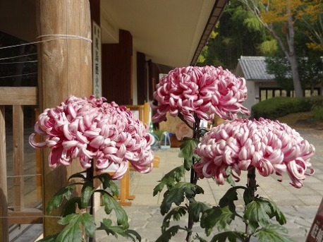 b0299042_21122480.jpg
