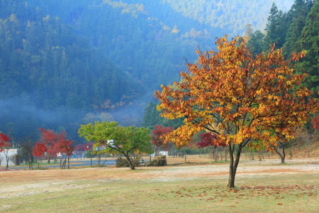 d0132743_943536.jpg