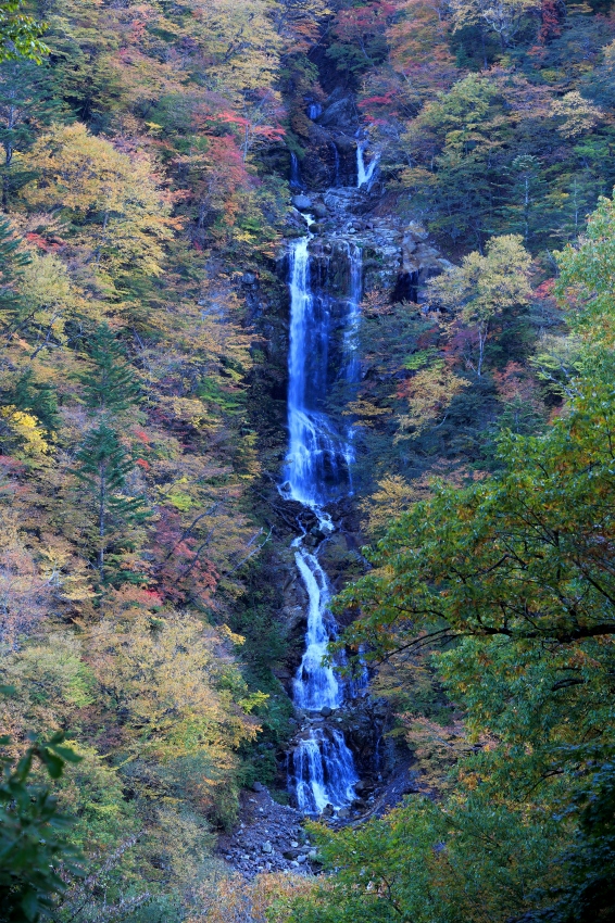 e0229455_23484237.jpg