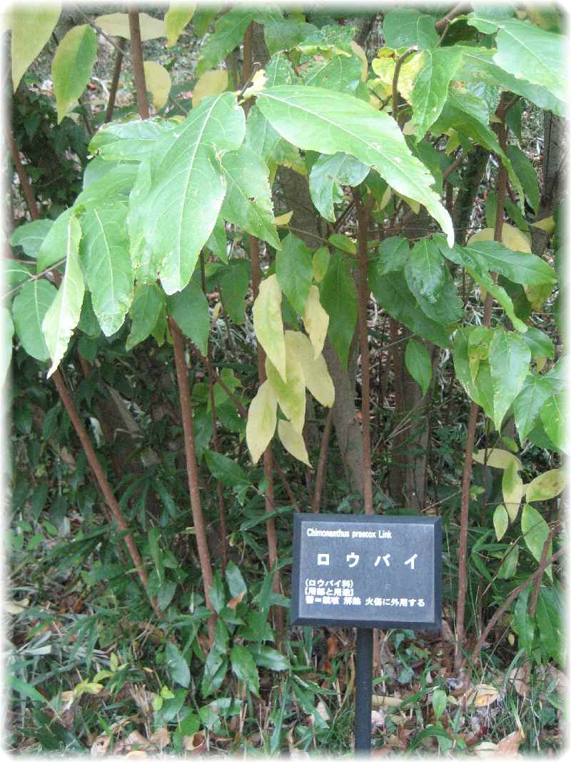 f0309162_11532272.jpg