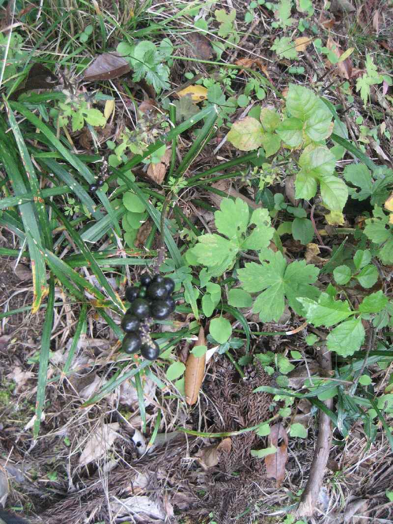 f0309162_11561004.jpg