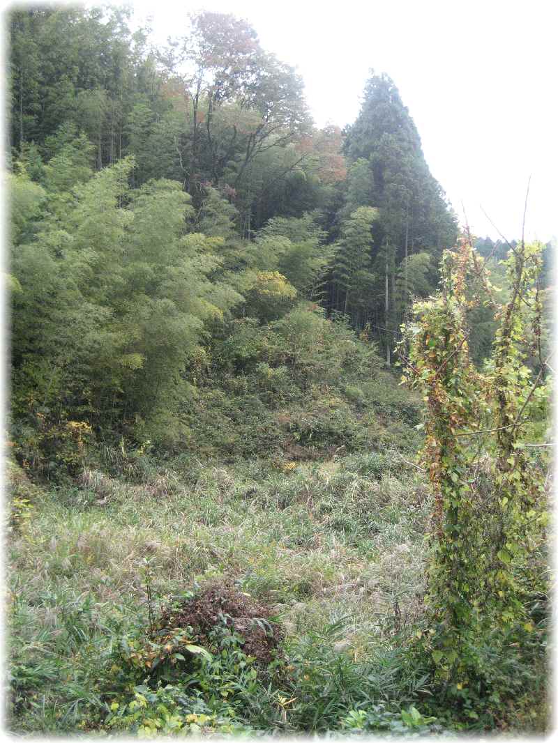 f0309162_11571975.jpg