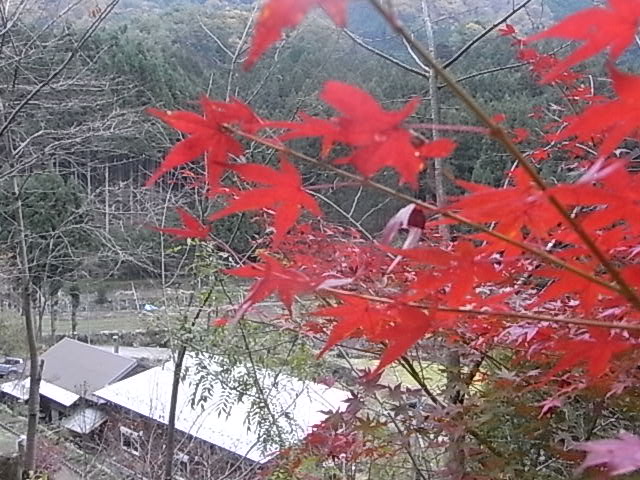 a0146070_5281311.jpg