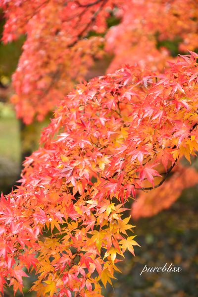 b0243873_198981.png