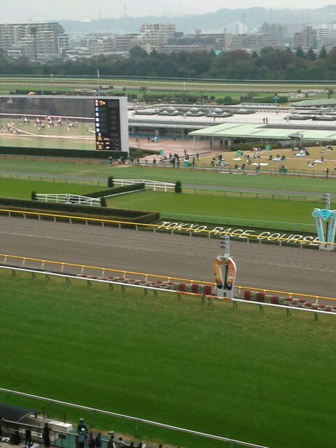 d0191174_10371270.jpg