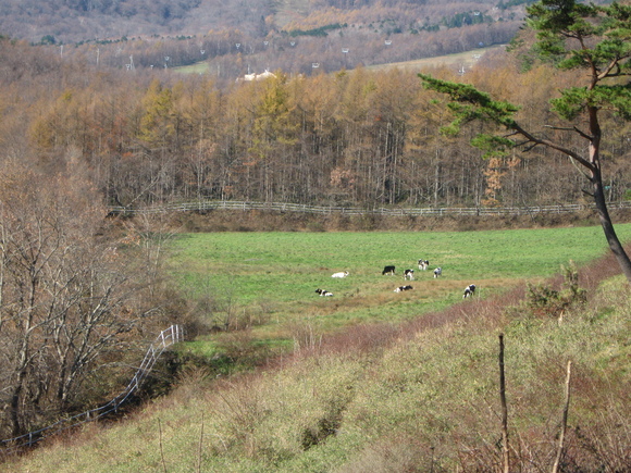 d0213179_9282089.jpg