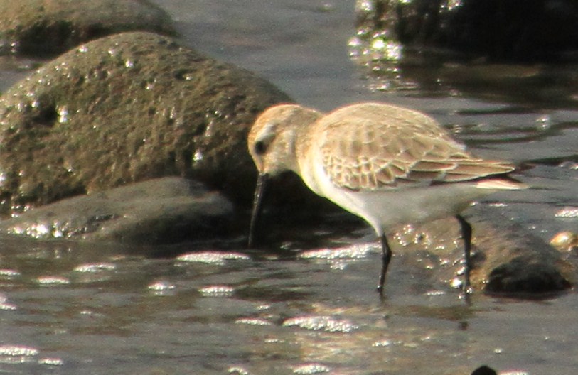 e0197884_1833742.jpg