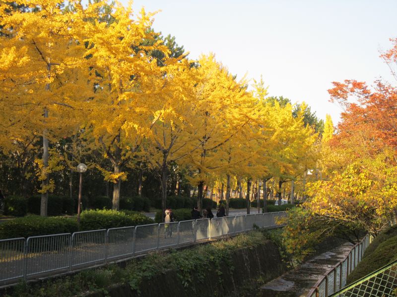 f0053885_19581396.jpg